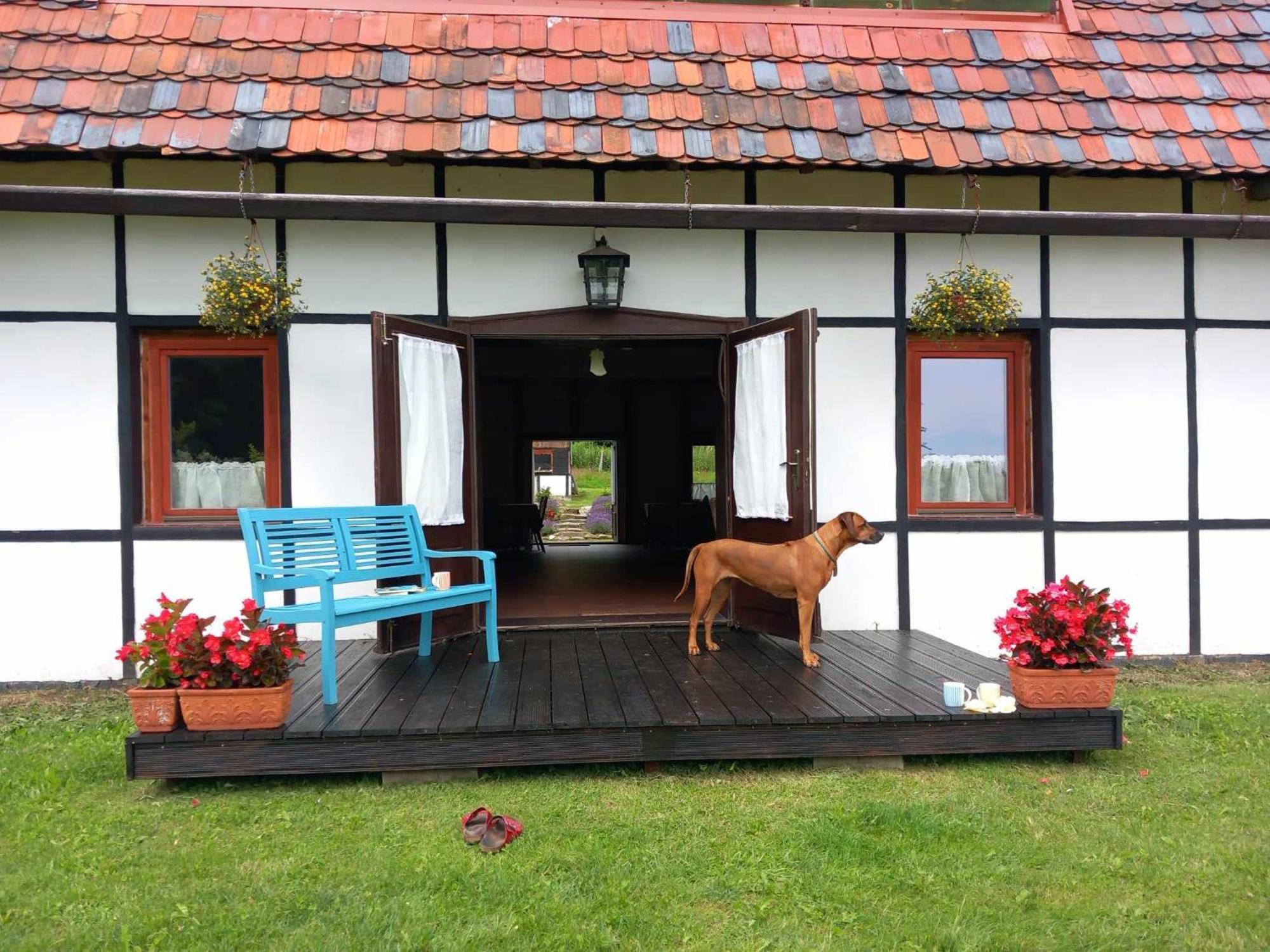 Austeria Staniszow Villa Jelenia Góra Exteriör bild